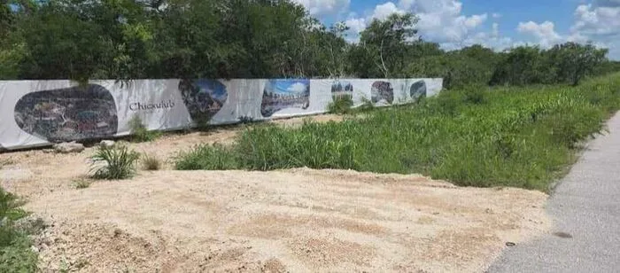 Banner del desarrollo en Chicxulub