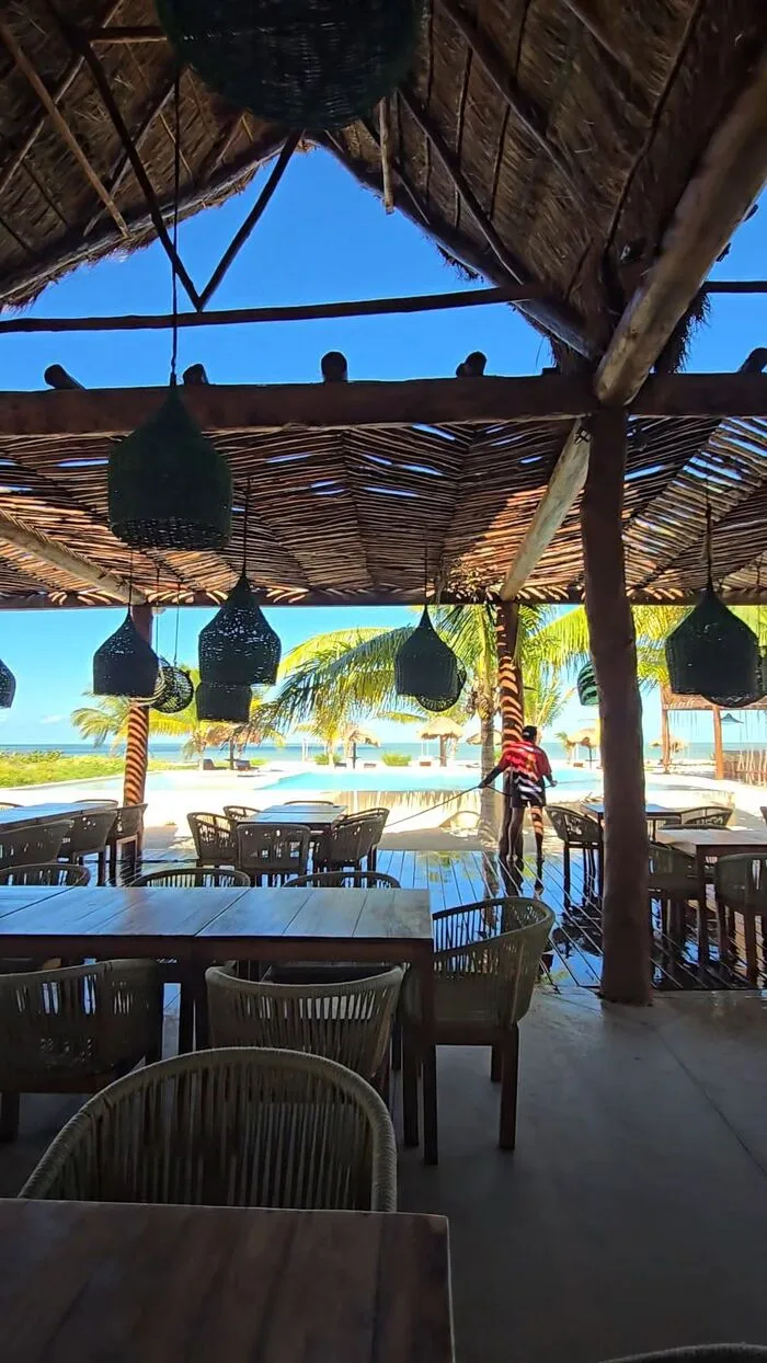 Palapa restaurante frente al mar