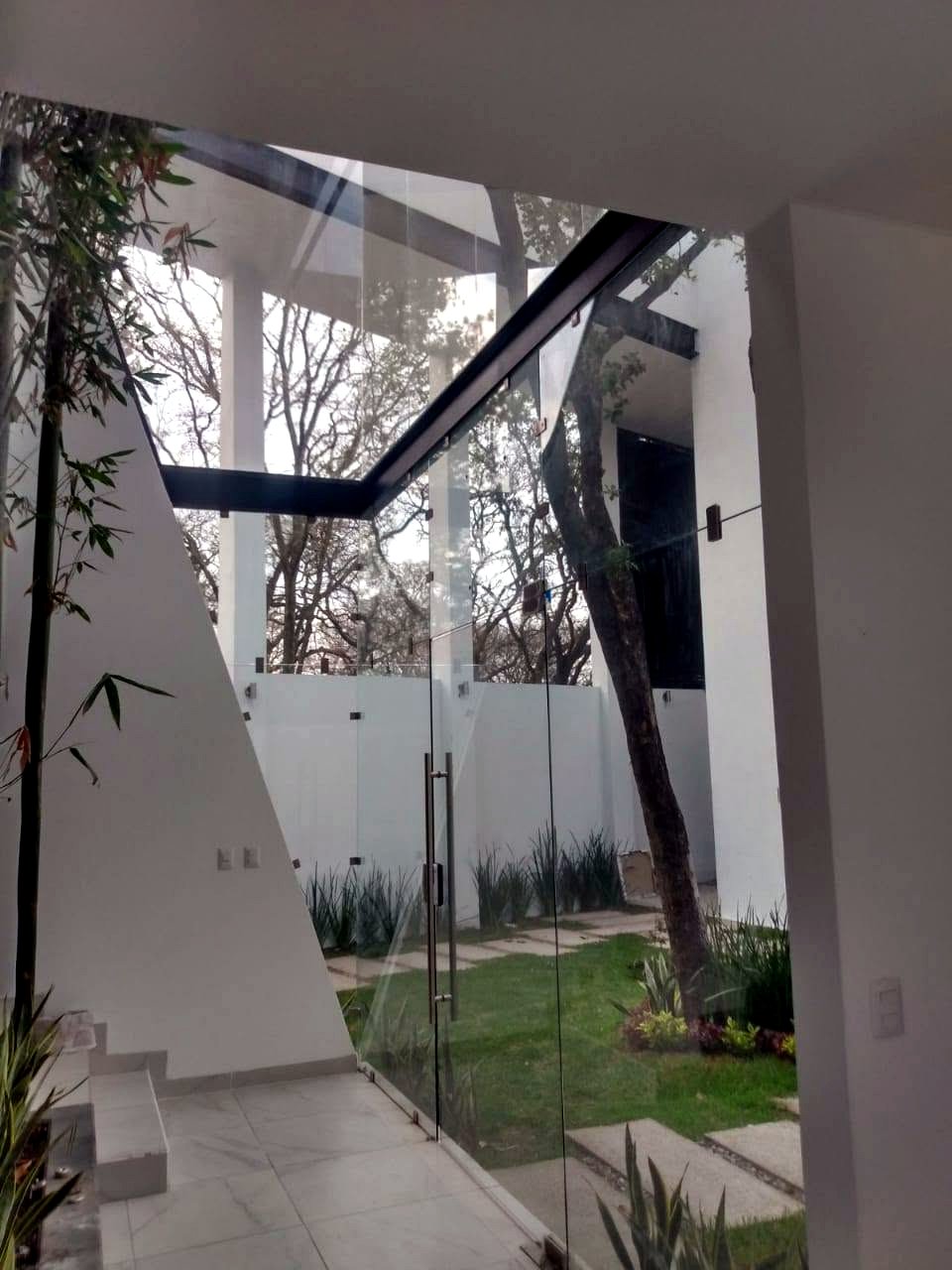Escalera de cristal junto a árbol en el jardín interior, Residencia CDMX