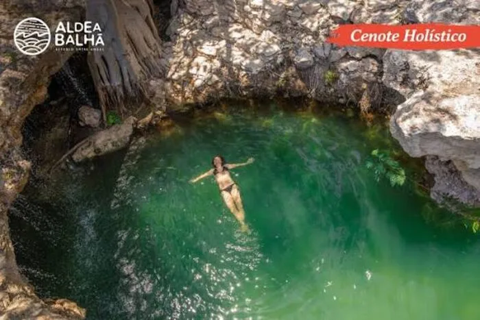 Cenote holístico, vista aérea