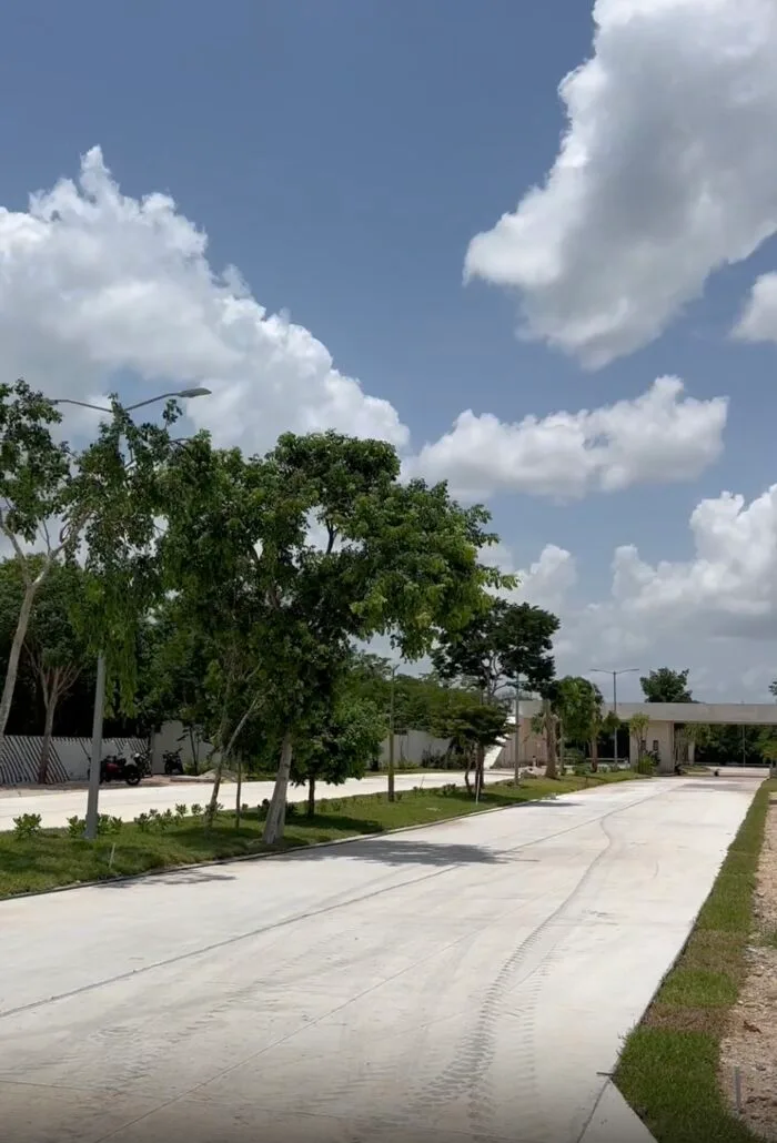 Calle de acceso a la comunidad