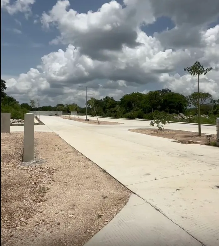 Vialidad y glorieta en obra